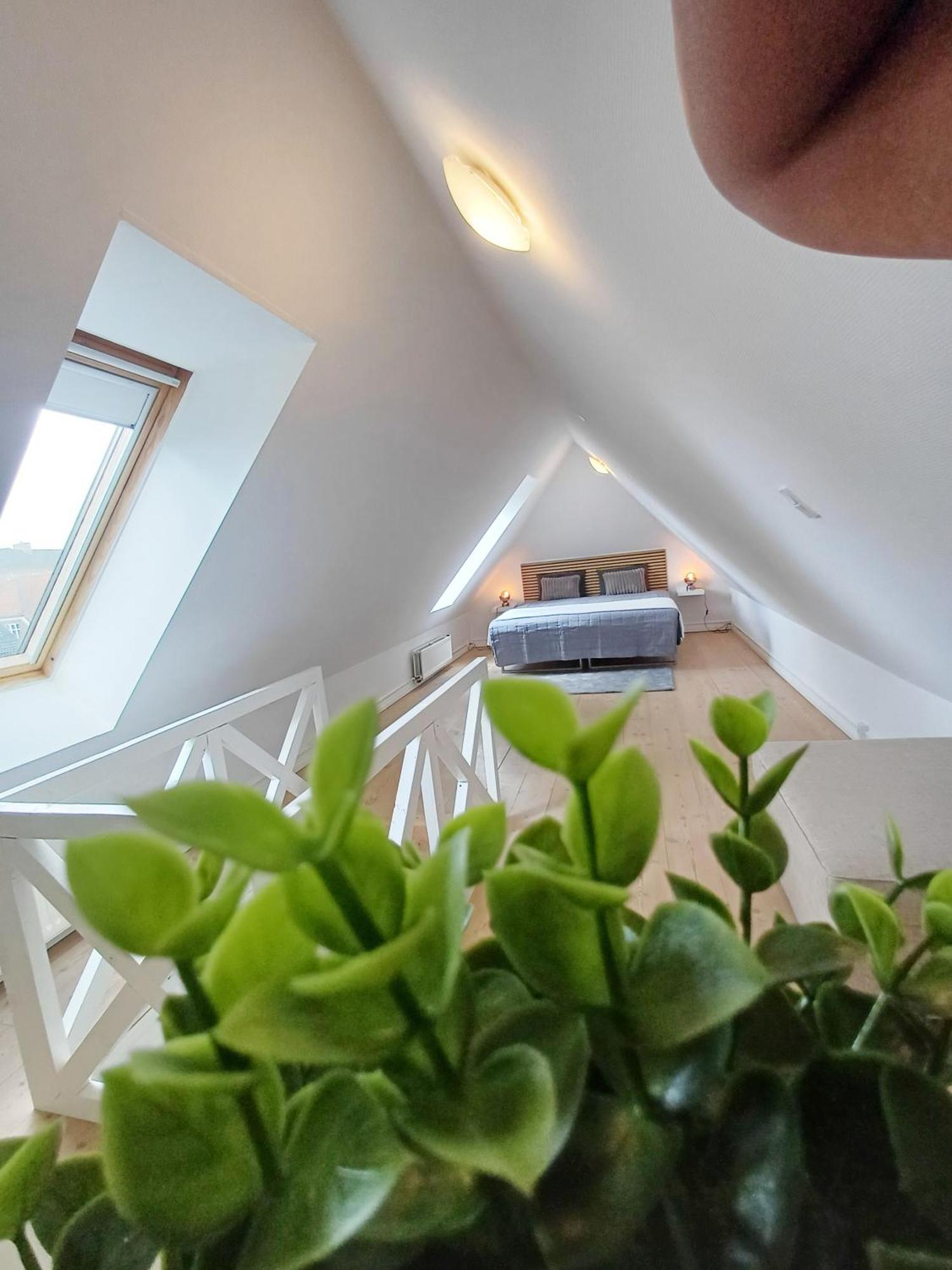 Grand Luxury Apartment In The Center Of Hoerring 히링 외부 사진